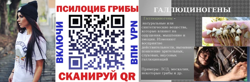 где найти наркотики Дивногорск Галлюциногенные грибы Psilocybine cubensis